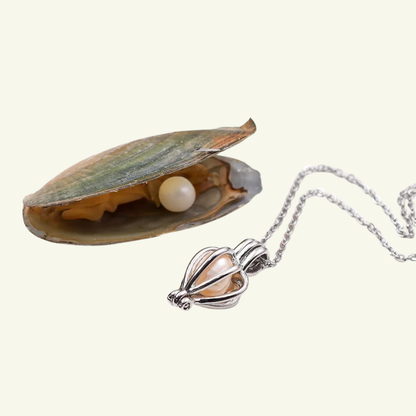İstiridyeden Çıkan Gerçek İnci Kolye
